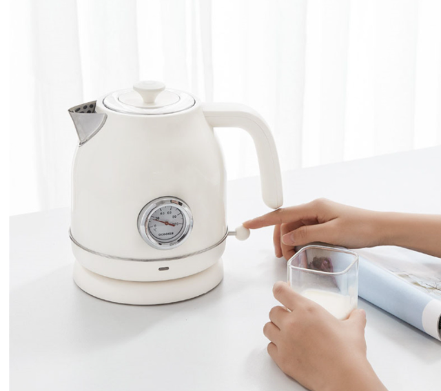 Electric Hot Water Kettle