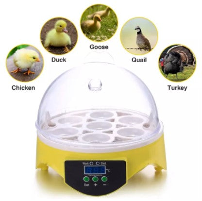 Automatic Egg Turning Incubator