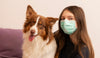 Surgical Mask (3 Ply) While Playing with Your Pet - 50s