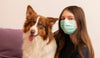 Surgical Mask (3 Ply) While Playing with Your Pet - 100s