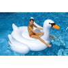 Inflatable Swan