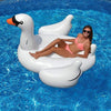 Inflatable Swan