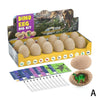 Dinosaur Eggs Engage Toy