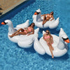 Inflatable Swan