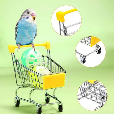 Parrot Training Toys