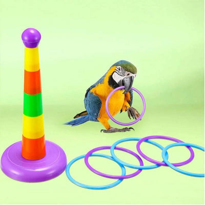 Parrot Training Toys