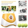 Dog Toy Motion Sensor