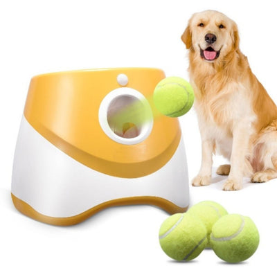 Dog Toy Motion Sensor