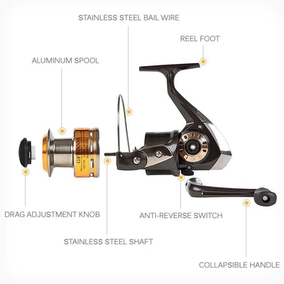 Carp Fishing Rod and Reel