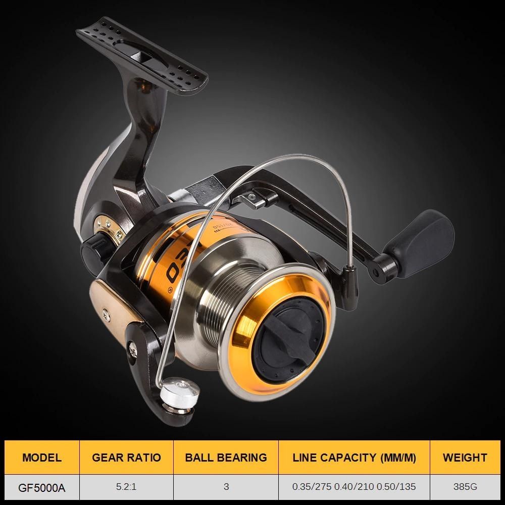 Carp Fishing Rod and Reel