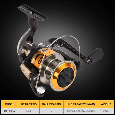 Carp Fishing Rod and Reel