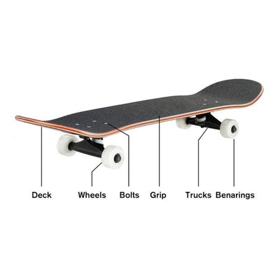 Double Rocker Skateboard