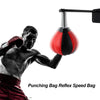 Wall Boxing Ball Speed Ball