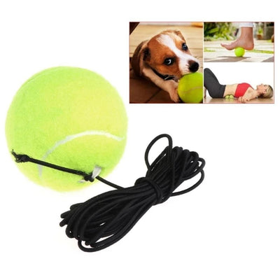 Tennis Training Balls