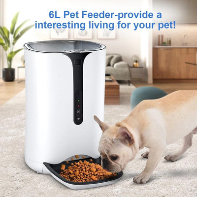 Cat Food Dispenser