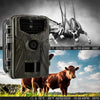 Hunting Trail Camera