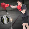 Boxing Speed Ball