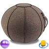 Yoga Ball Handle and Cover