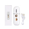 Mini Face Steamer