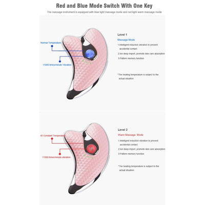 Electric Facial Massager