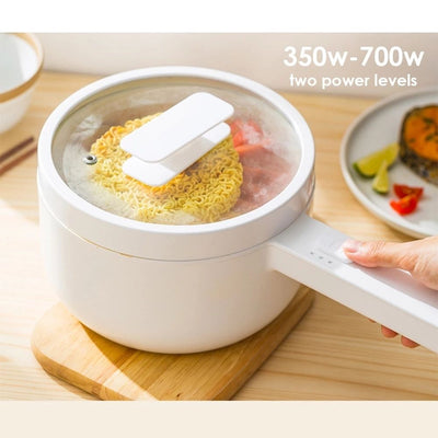 Electric Hot Pot Skillet Fryer