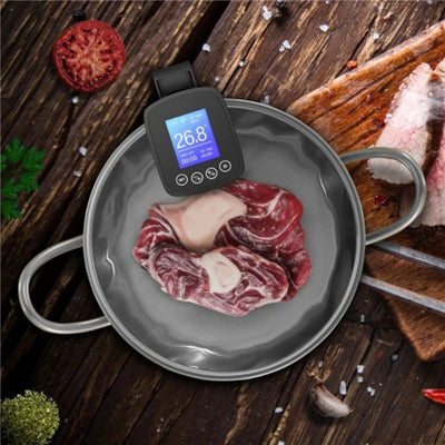 WI-FI Sous Vide Precise Cooker