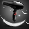 Professional Hair Dryer