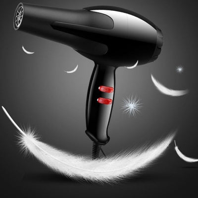 Professional Hair Dryer