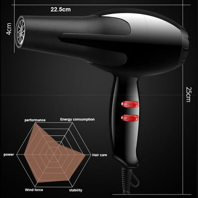 Professional Hair Dryer