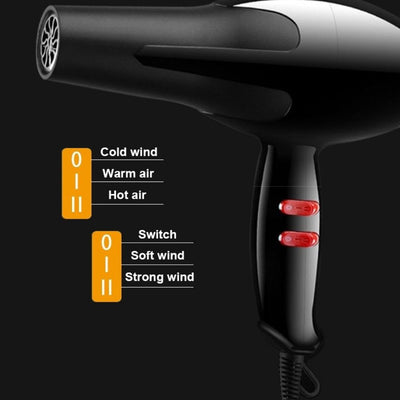 Professional Hair Dryer