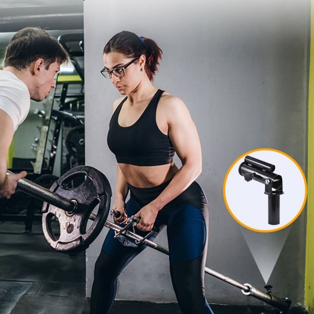 Gym T-Bar Row Plate Rotation