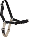 Chest Dog Harness