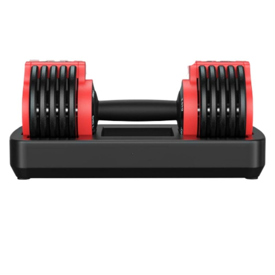 Paint-baked Dumbbell