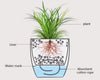 Modern Design Self Watering Planter- Small