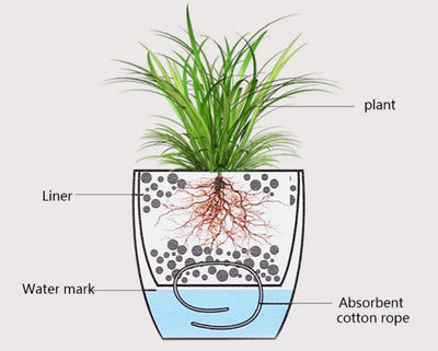 Modern Design Self Watering Planter- Small